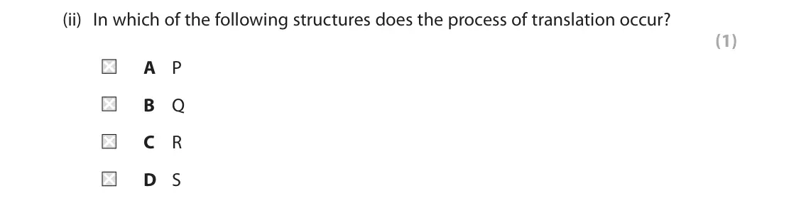 June 2024 Paper 2, question 1(a)(ii): In which of the following structures does the process of translation occur? (1) A P B Q C R D S