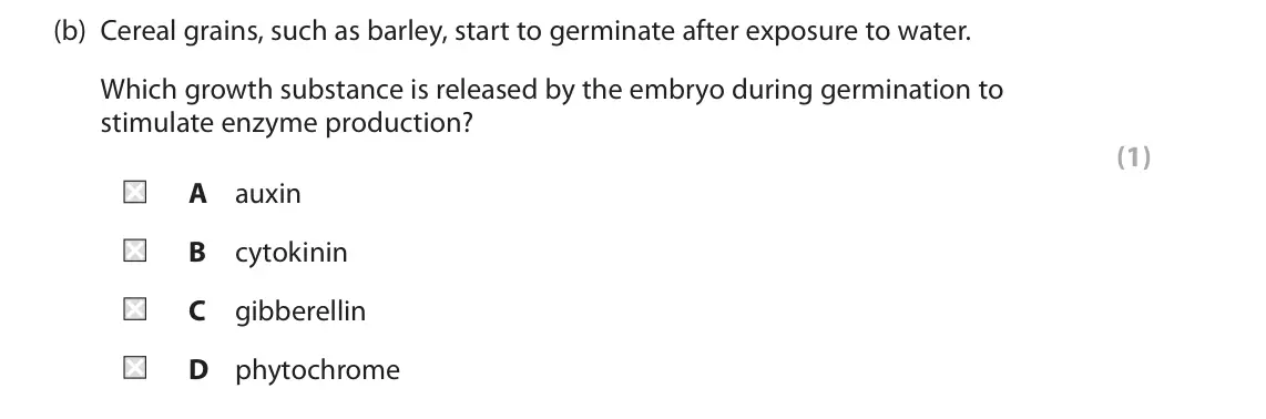 June 2024 Paper 2, question 2(b): Cereal grains, such as barley, start to germinate after exposure to water. Which growth substance is released by the embryo during germination to stimulate enzy