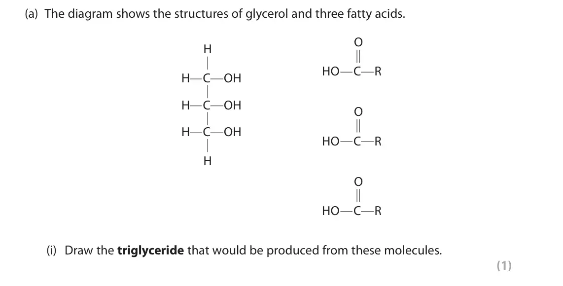 June 2024 Paper 2, question 3(a)(i): Draw the triglyceride that would be produced from these molecules. (1)