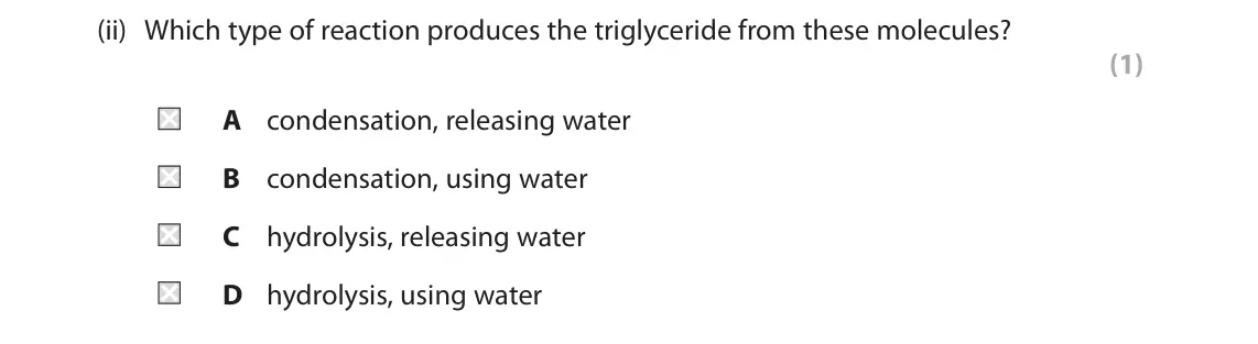 June 2024 Paper 2, question 3(a)(ii): Which type of reaction produces the triglyceride from these molecules? (1) A condensation, releasing water B condensation, using water C hydrolysis, releasing w
