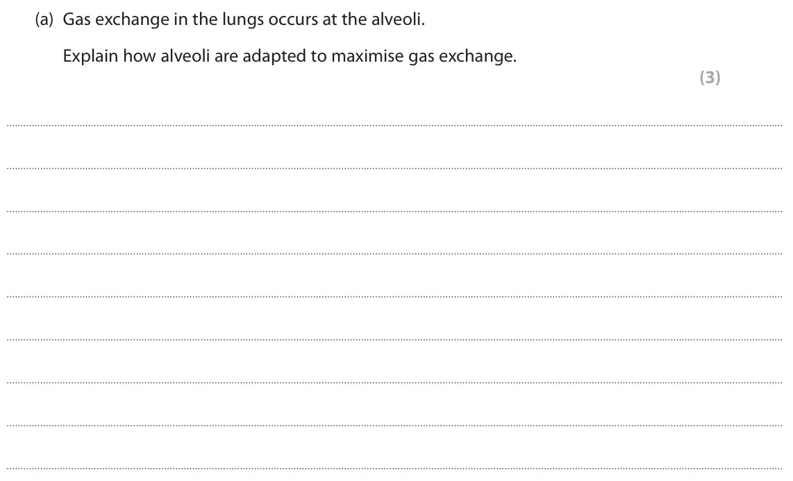 June 2024 Paper 2, question 4(a): Gas exchange in the lungs occurs at the alveoli. Explain how alveoli are adapted to maximise gas exchange. (3)