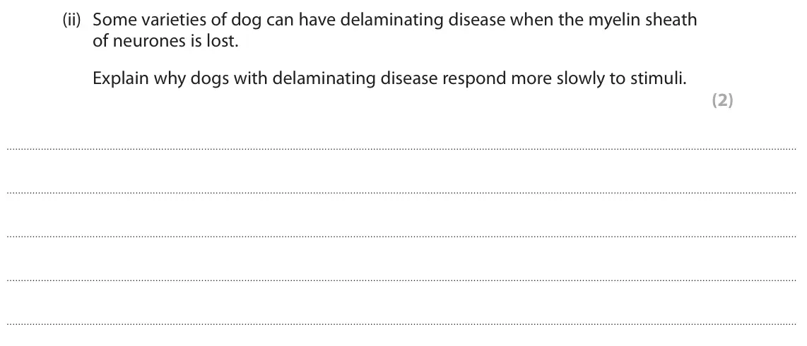 June 2024 Paper 2, question 8(b)(ii): Some varieties of dog can have delaminating disease when the myelin sheath of neurones is lost. Explain why dogs with delaminating disease respond more slowly t