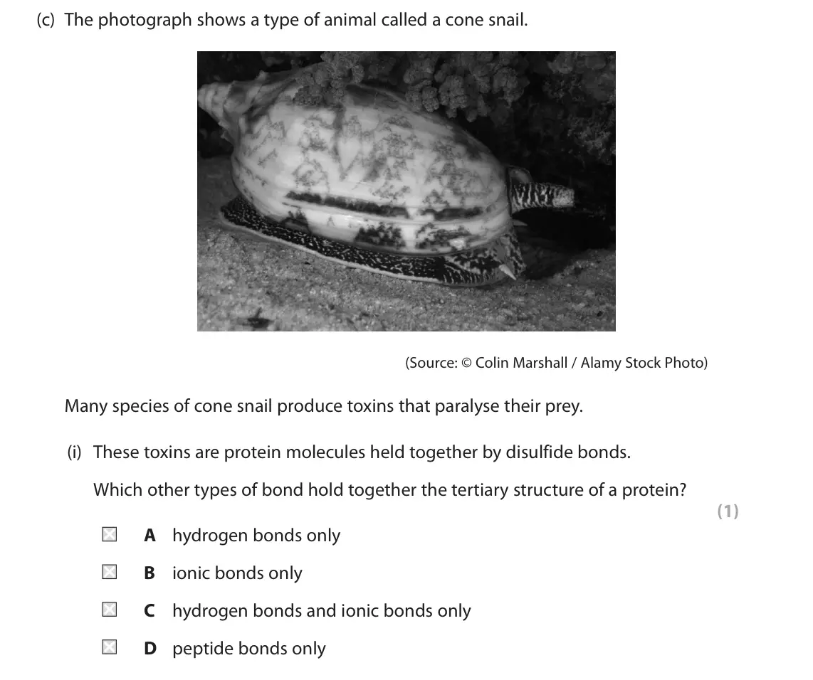 June 2024 Paper 2, question 8(c)(i): These toxins are protein molecules held together by disulfide bonds. Which other types of bond hold together the tertiary structure of a protein? (1) A hydrogen