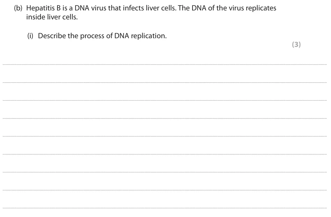 June 2025 Paper 2, question 1(b)(i): Describe the process of DNA replication. (3)