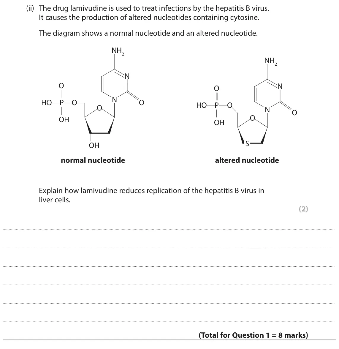 June 2025 Paper 2, question 1(b)(ii): The drug lamivudine is used to treat infections by the hepatitis B virus. It causes the production of altered nucleotides containing cytosine. The diagram shows