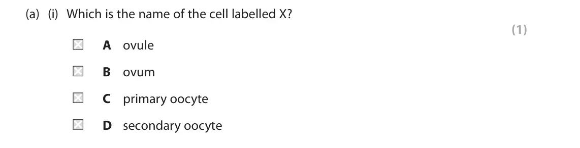 June 2025 Paper 2, question 2(a)(i): Which is the name of the cell labelled X? (1) A ovule B ovum C primary oocyte D secondary oocyte