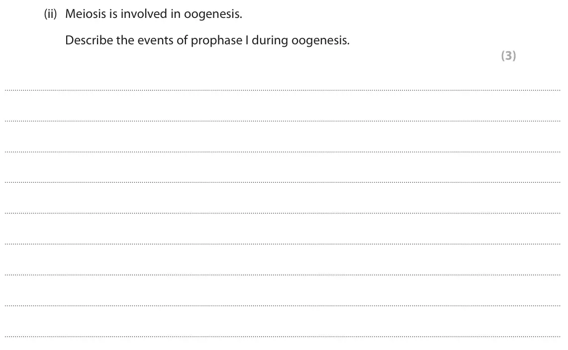 June 2025 Paper 2, question 2(a)(ii): Meiosis is involved in oogenesis. Describe the events of prophase I during oogenesis. (3)