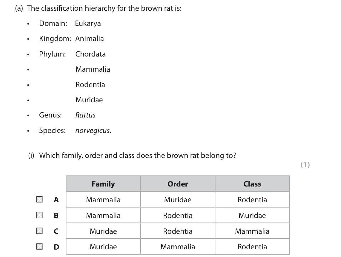 June 2025 Paper 2, question 6(a)(i): Which family, order and class does the brown rat belong to? (1) Family Order Class A Mammalia Muridae Rodentia B Mammalia Rodentia Muridae C Muridae Rodentia Ma
