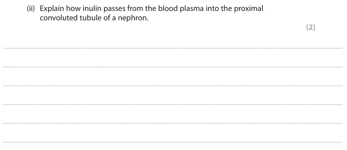 June 2025 Paper 2, question 7(c)(ii): Explain how inulin passes from the blood plasma into the proximal convoluted tubule of a nephron. (2)