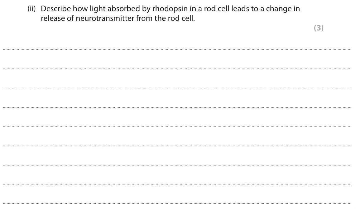 June 2025 Paper 2, question 9(a)(ii): Describe how light absorbed by rhodopsin in a rod cell leads to a change in release of neurotransmitter from the rod cell. (3)