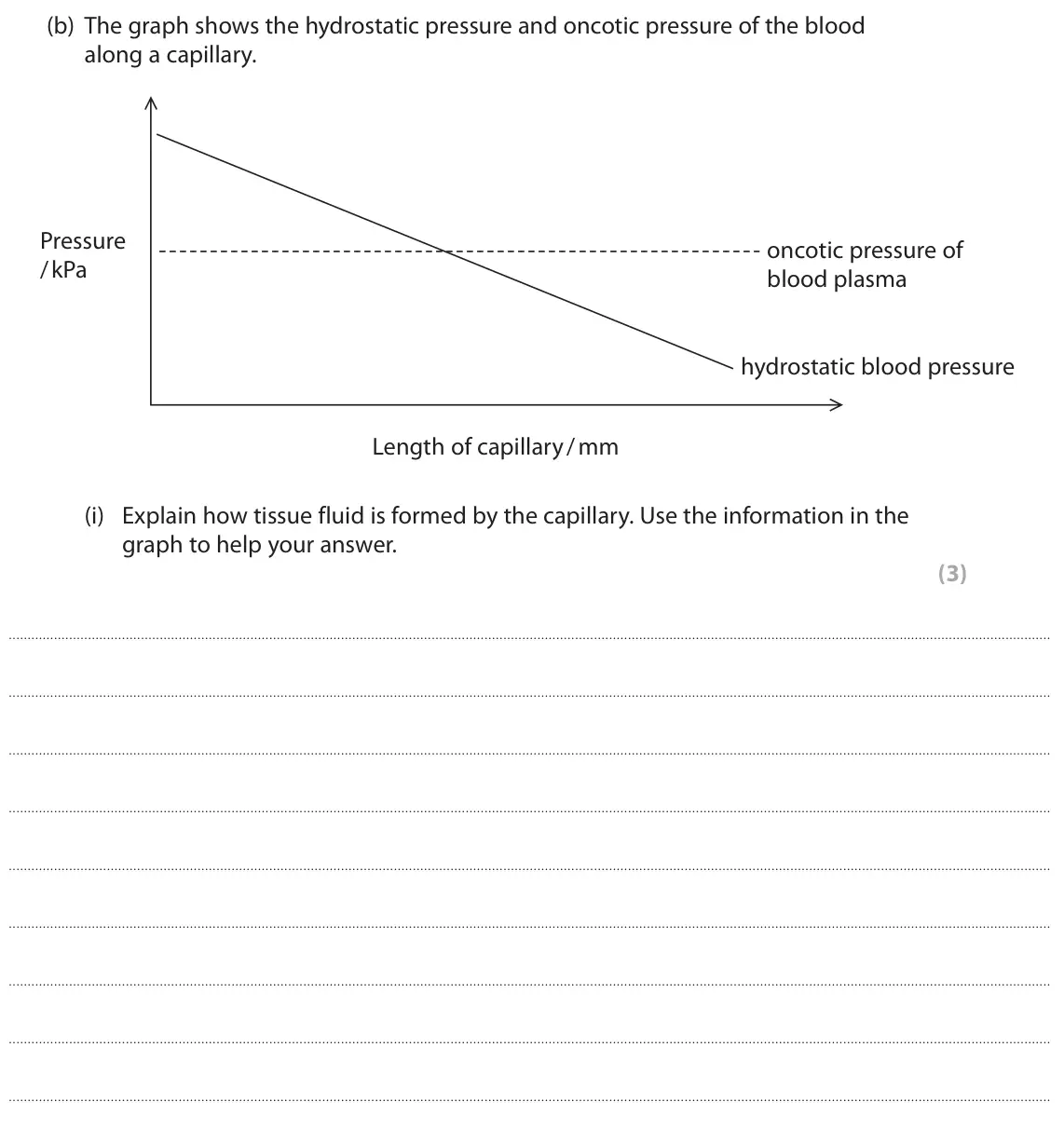 November 2021 Paper 2, question 1(b)(i): Explain how tissue fluid is formed by the capillary. Use the information in the graph to help your answer. (3)