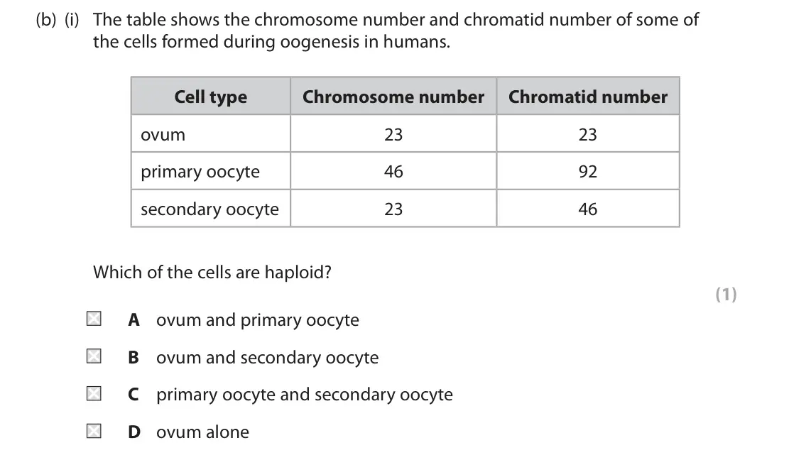 November 2021 Paper 2, question 2(b)(i): The table shows the chromosome number and chromatid number of some of the cells formed during oogenesis in humans. Cell type Chromosome number Chromatid number