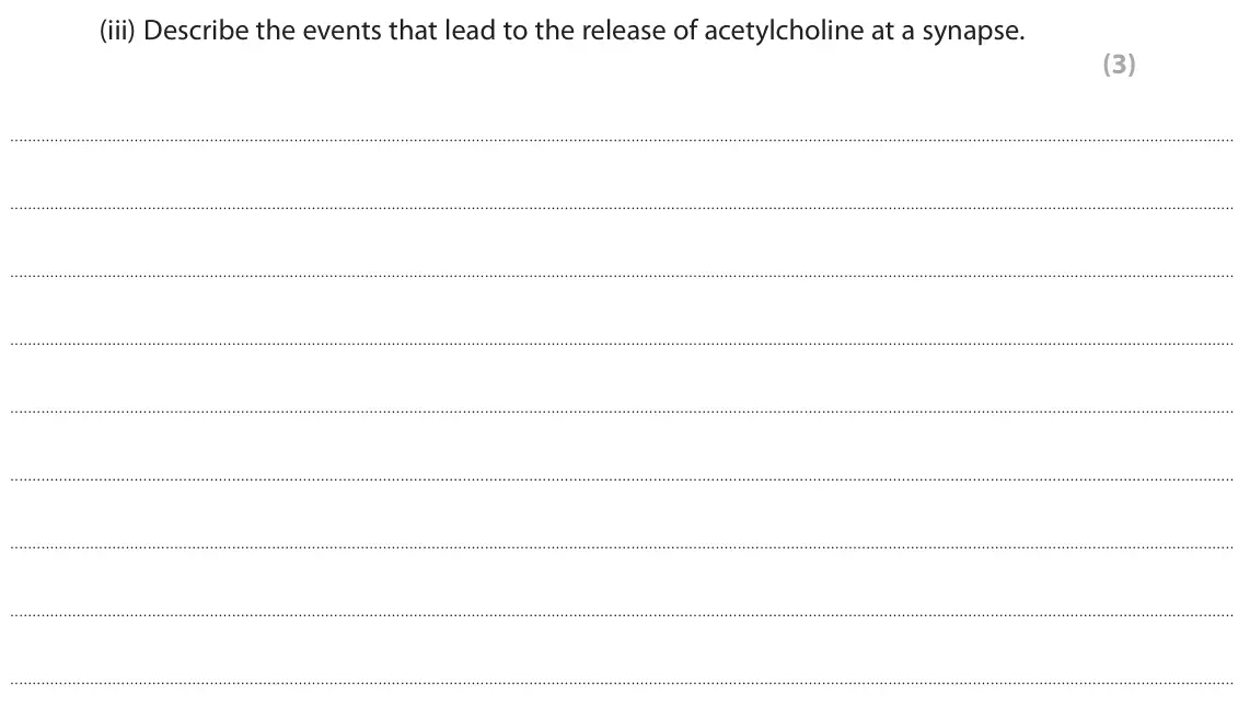 November 2021 Paper 2, question 6(a)(iii): Describe the events that lead to the release of acetylcholine at a synapse. (3)
