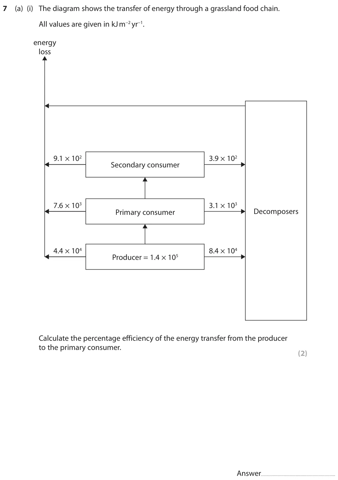 November 2021 Paper 2, question 7(a)(i): The diagram shows the transfer of energy through a grassland food chain. All values are given in kJ m−2 yr−1. energy loss 9.1 × 102 3.9 × 102 Secondary consumer