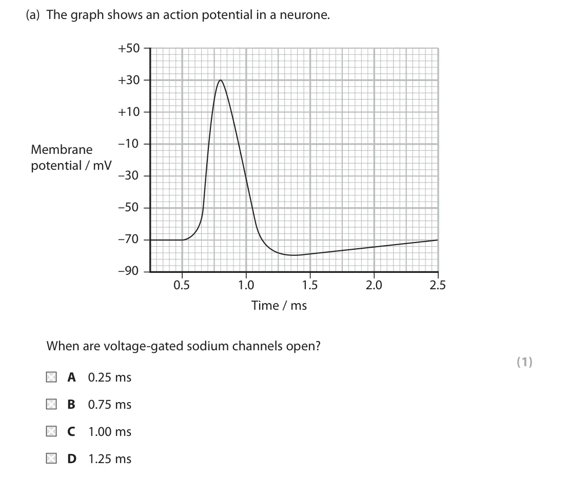 October 2020 Paper 2, question 6(a): The graph shows an action potential in a neurone. +50 +30 +10 –10 Membrane potential / mV –30 –50 –70 –90 0.5 1.0 1.5 2.0 2.5 Time / ms When are voltage-gated s