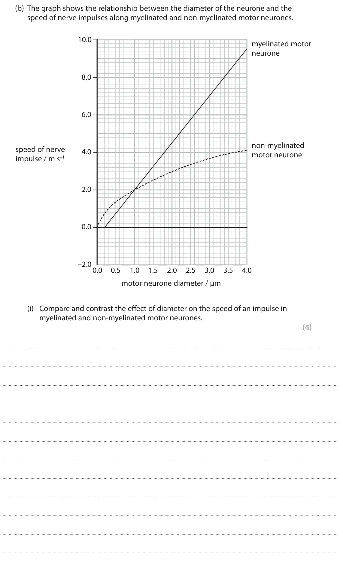 October 2020 Paper 2, question 6(b)(i): Compare and contrast the effect of diameter on the speed of an impulse in myelinated and non-myelinated motor neurones. (4)