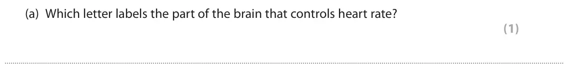 June 2018 Paper 3, question 1(a): Which letter labels the part of the brain that controls heart rate? (1)