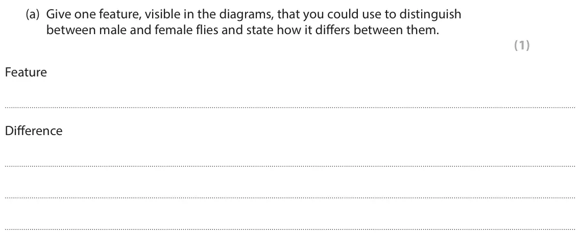 June 2022 Paper 3, question 4(a): Give one feature, visible in the diagrams, that you could use to distinguish between male and female flies and state how it differs between them. (1) Feature Di