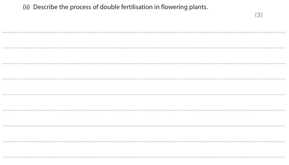 June 2022 Paper 3, question 5(b)(ii): Describe the process of double fertilisation in flowering plants. (3)