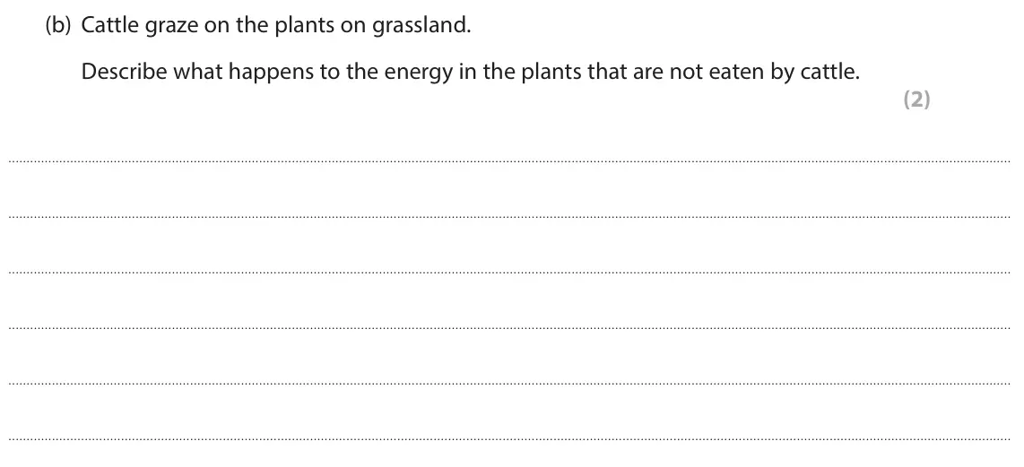 June 2022 Paper 3, question 10(b): Cattle graze on the plants on grassland. Describe what happens to the energy in the plants that are not eaten by cattle. (2)
