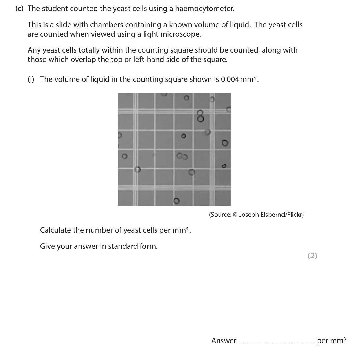 June 2022 Paper 3, question 11(c)(i): The volume of liquid in the counting square shown is 0.004 mm3 . (Source: © Joseph Elsbernd/Flickr) Calculate the number of yeast cells per mm3 . Give your answ