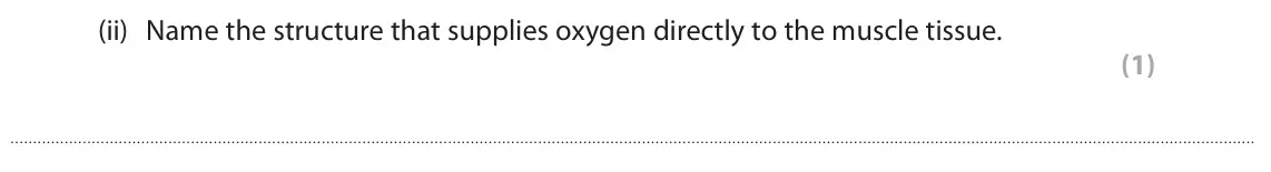 June 2023 Paper 3, question 2(b)(ii): Name the structure that supplies oxygen directly to the muscle tissue. (1)