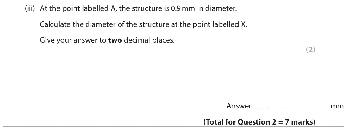 June 2023 Paper 3, question 2(b)(iii): At the point labelled A, the structure is 0.9 mm in diameter. Calculate the diameter of the structure at the point labelled X. Give your answer to two decimal p