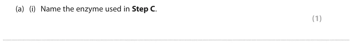June 2023 Paper 3, question 3(a)(i): Name the enzyme used in Step C. (1)