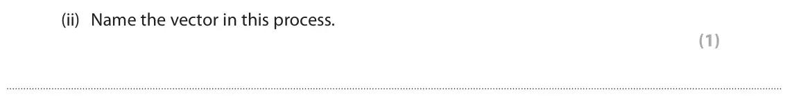 June 2023 Paper 3, question 3(a)(ii): Name the vector in this process. (1)