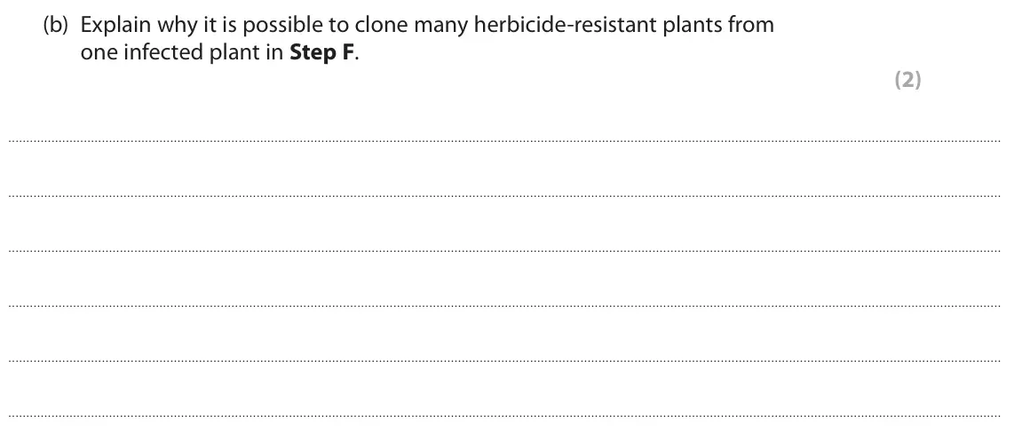 June 2023 Paper 3, question 3(b): Explain why it is possible to clone many herbicide‑resistant plants from one infected plant in Step F. (2)