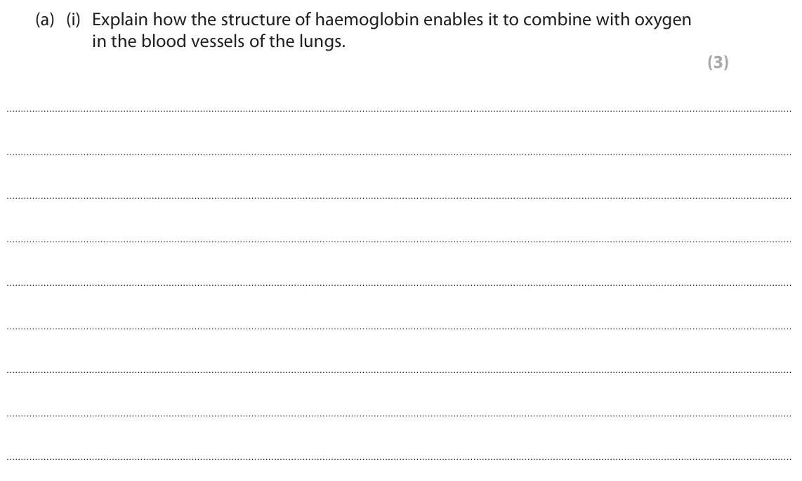 June 2023 Paper 3, question 8(a)(i): Explain how the structure of haemoglobin enables it to combine with oxygen in the blood vessels of the lungs. (3)