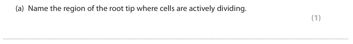 June 2024 Paper 3, question 1(a): Name the region of the root tip where cells are actively dividing. (1)