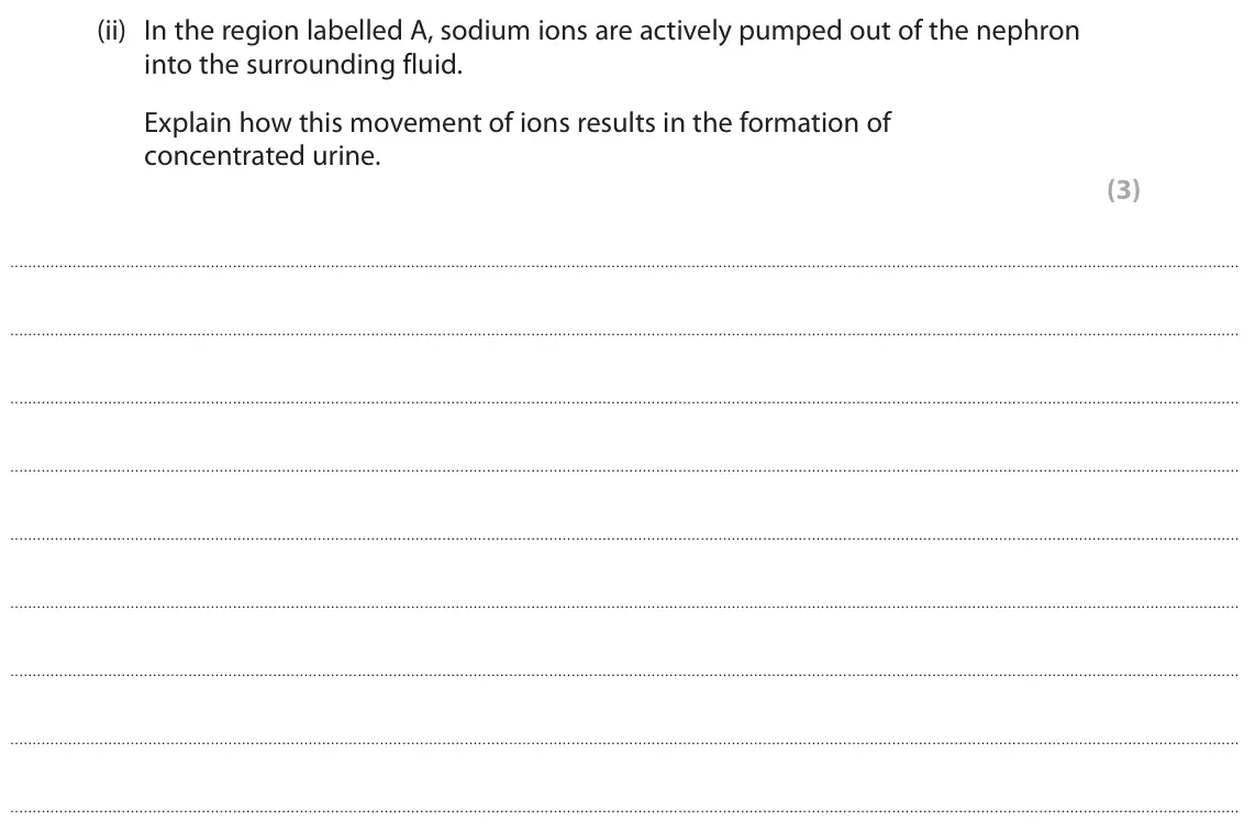 June 2024 Paper 3, question 2(a)(ii): In the region labelled A, sodium ions are actively pumped out of the nephron into the surrounding fluid. Explain how this movement of ions results in the format