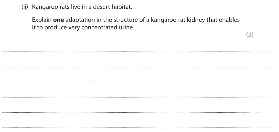 June 2024 Paper 3, question 2(b)(ii): Kangaroo rats live in a desert habitat. Explain one adaptation in the structure of a kangaroo rat kidney that enables it to produce very concentrated urine. (2)