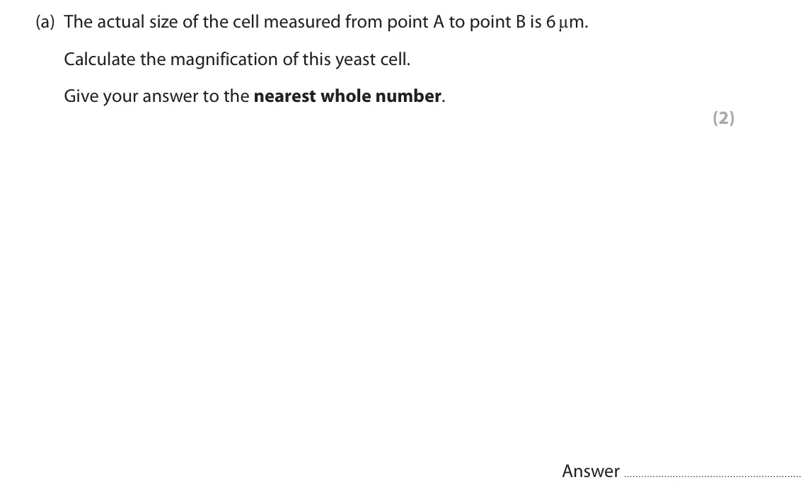 June 2025 Paper 3, question 1(a): The actual size of the cell measured from point A to point B is 6 µm. Calculate the magnification of this yeast cell. Give your answer to the nearest whole numb