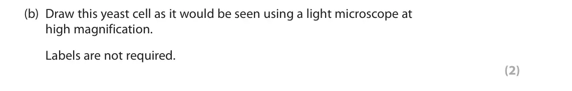 June 2025 Paper 3, question 1(b): Draw this yeast cell as it would be seen using a light microscope at high magnification. Labels are not required. (2)