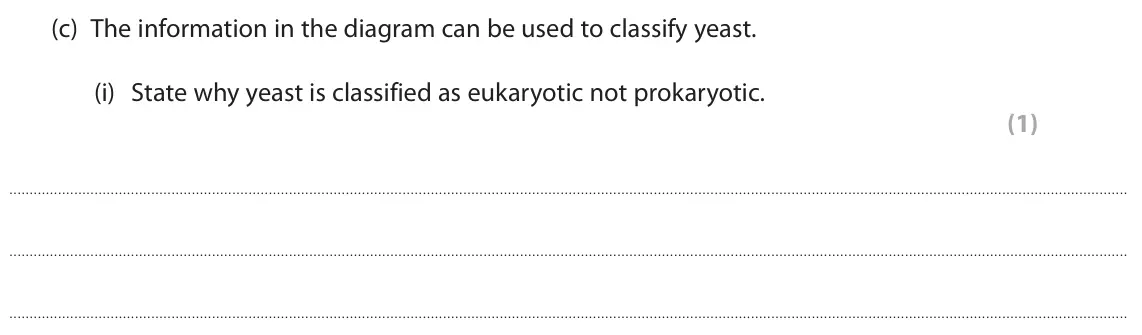 June 2025 Paper 3, question 1(c)(i): State why yeast is classified as eukaryotic not prokaryotic. (1)