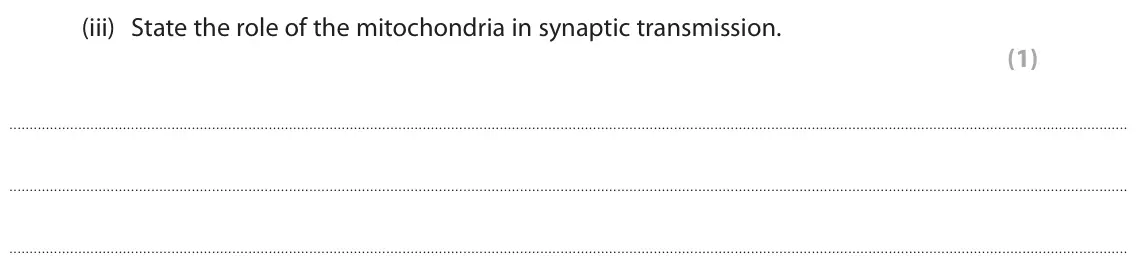 June 2025 Paper 3, question 2(a)(iii): State the role of the mitochondria in synaptic transmission. (1)