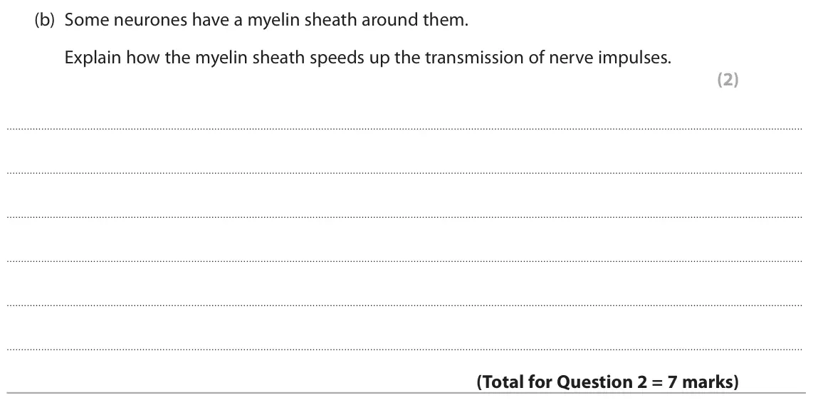 June 2025 Paper 3, question 2(b): Some neurones have a myelin sheath around them. Explain how the myelin sheath speeds up the transmission of nerve impulses. (2)