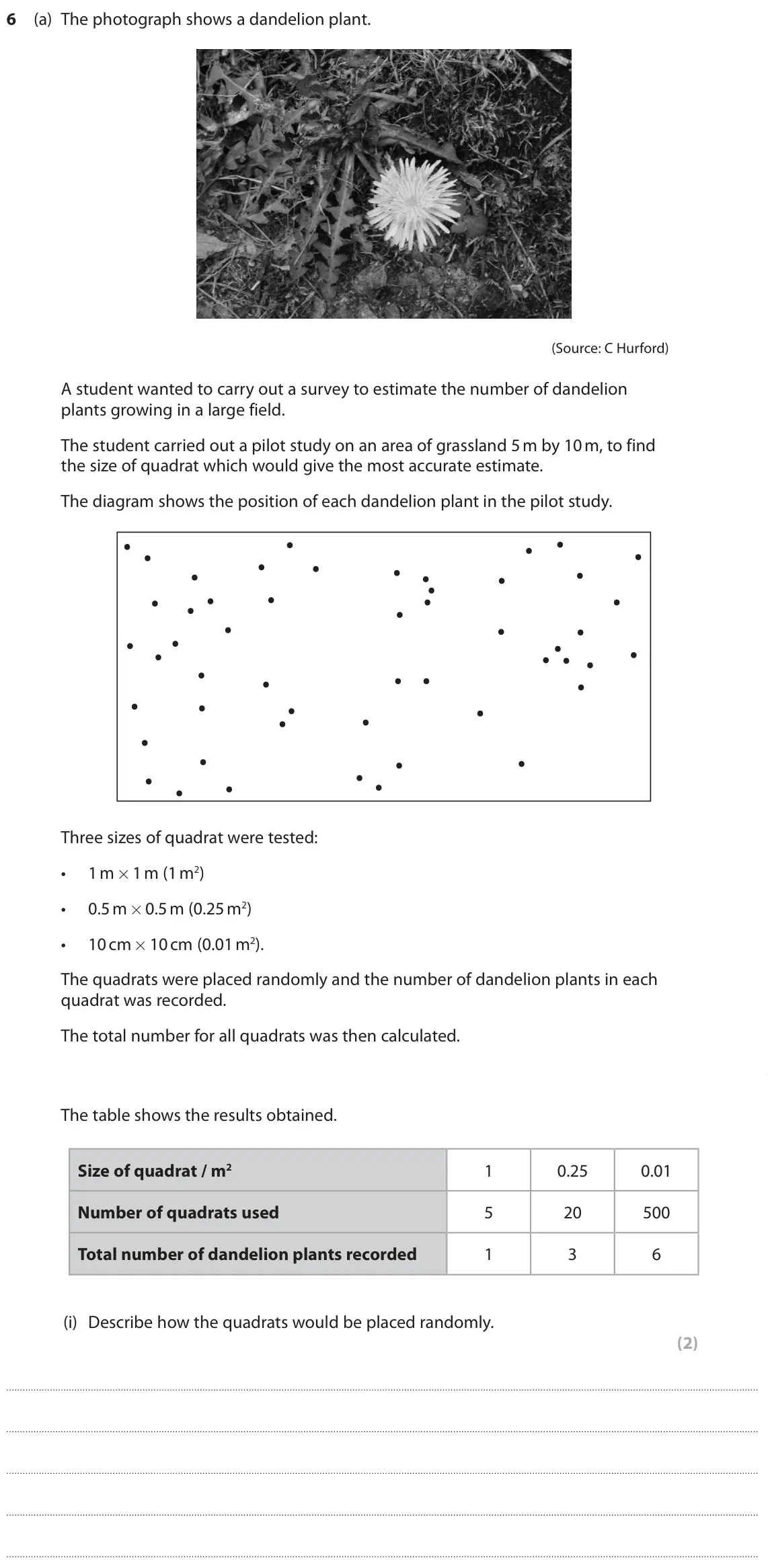 June 2025 Paper 3, question 6(a)(i): Describe how the quadrats would be placed randomly. (2)