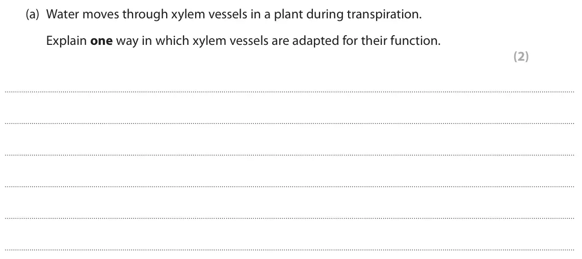 June 2025 Paper 3, question 9(a): Water moves through xylem vessels in a plant during transpiration. Explain one way in which xylem vessels are adapted for their function. (2)