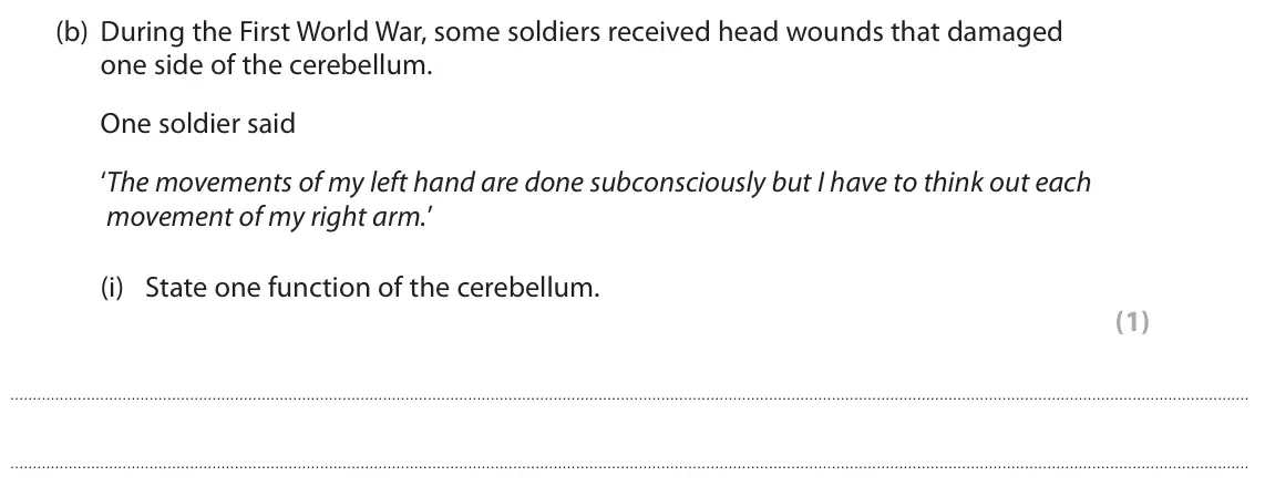 November 2021 Paper 3, question 2(b)(i): State one function of the cerebellum. (1)