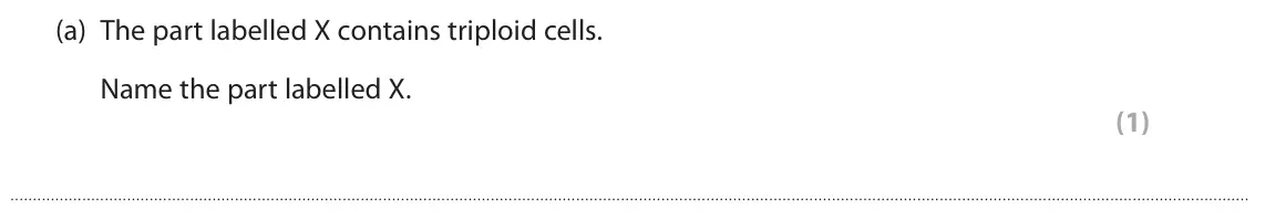October 2020 Paper 3, question 5(a): The part labelled X contains triploid cells. Name the part labelled X. (1)