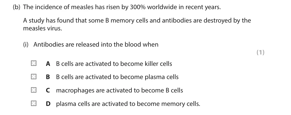 June 2022 Paper 1, question 7(b)(i): Antibodies are released into the blood when (1) A B cells are activated to become killer cells B B cells are activated to become plasma cells C macrophages are 