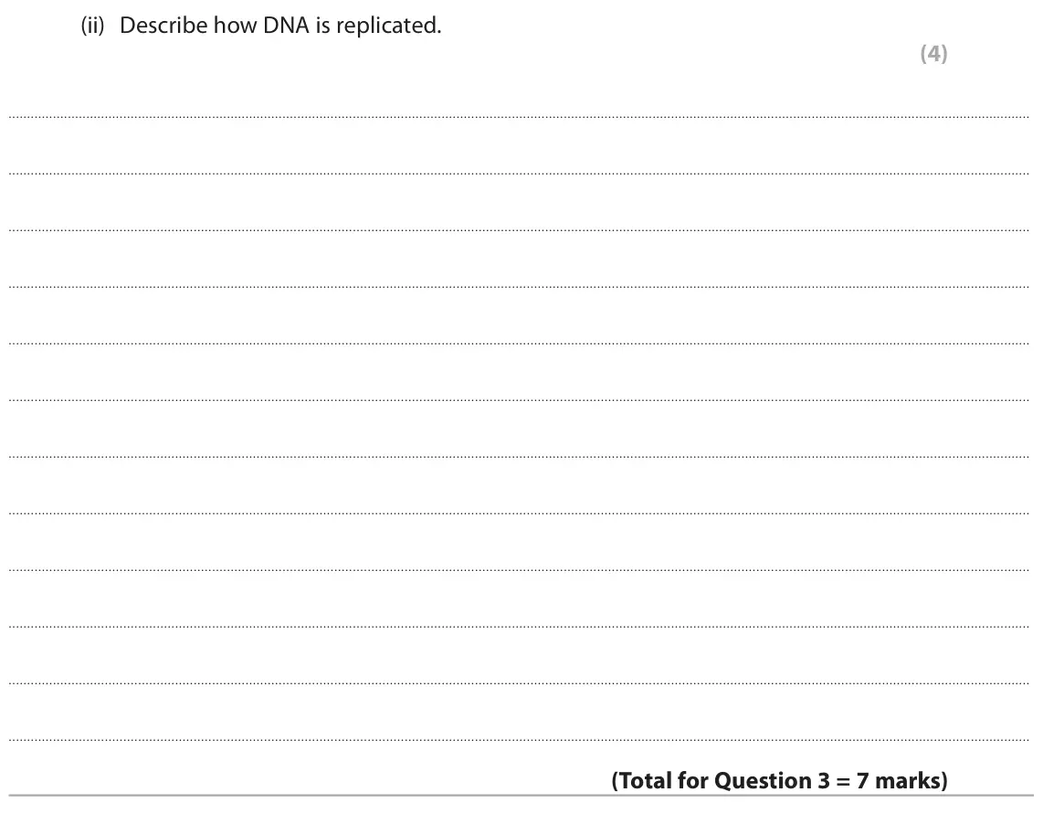 June 2023 Paper 1, question 3(b)(ii): Describe how DNA is replicated. (4)