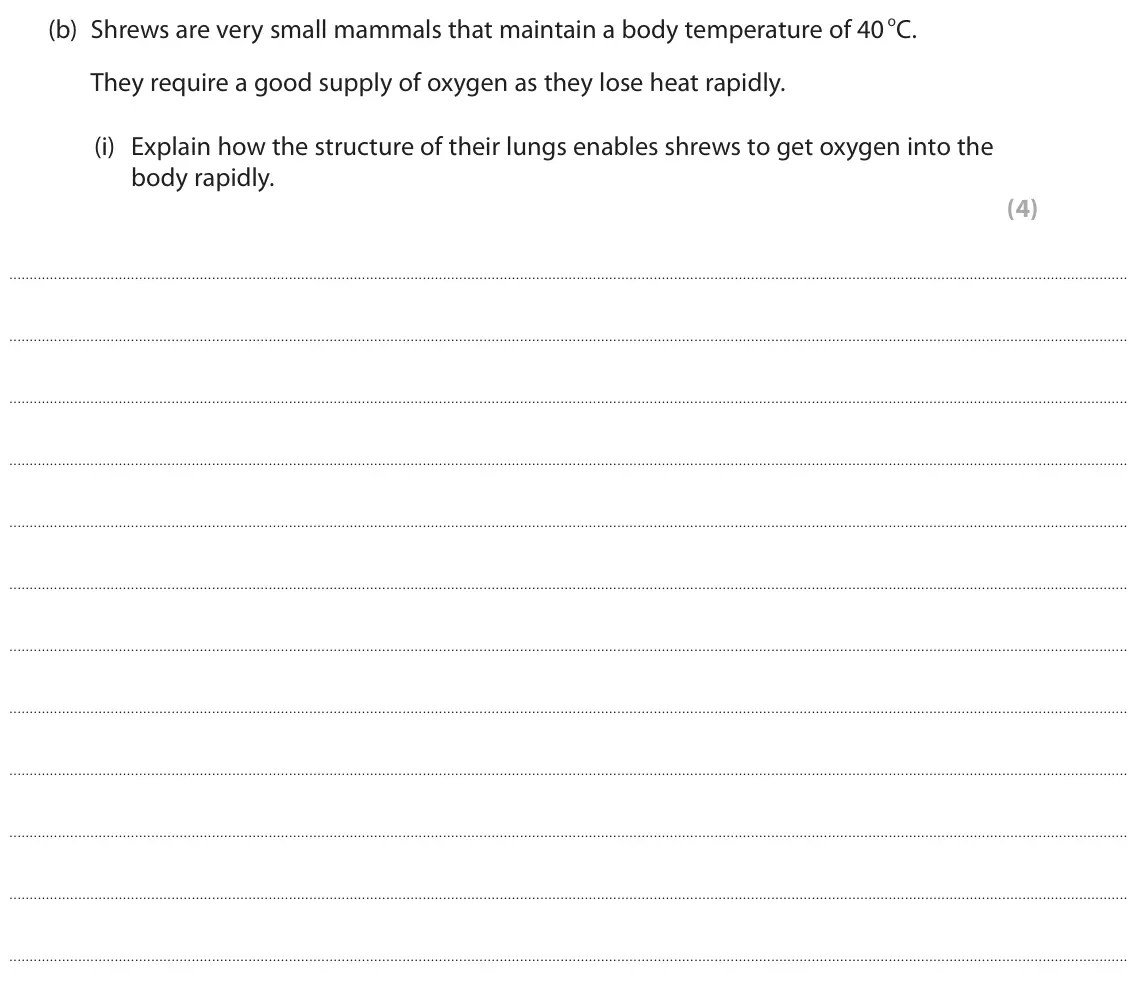 June 2023 Paper 1, question 6(b)(i): Explain how the structure of their lungs enables shrews to get oxygen into the body rapidly. (4)