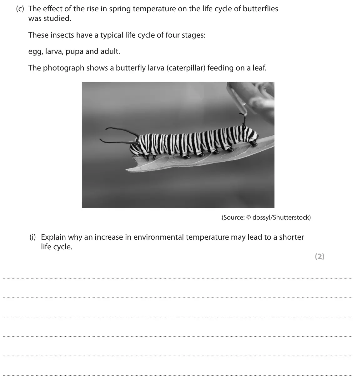 June 2023 Paper 1, question 10(c)(i): Explain why an increase in environmental temperature may lead to a shorter life cycle. (2)