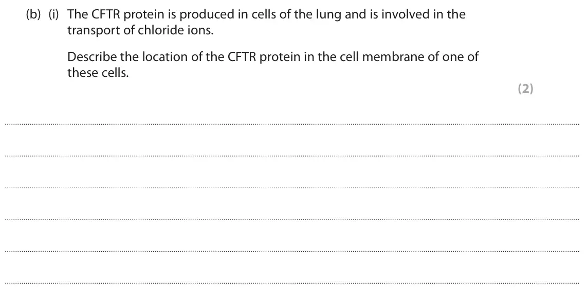 June 2024 Paper 1, question 4(b)(i): The CFTR protein is produced in cells of the lung and is involved in the transport of chloride ions. Describe the location of the CFTR protein in the cell membr