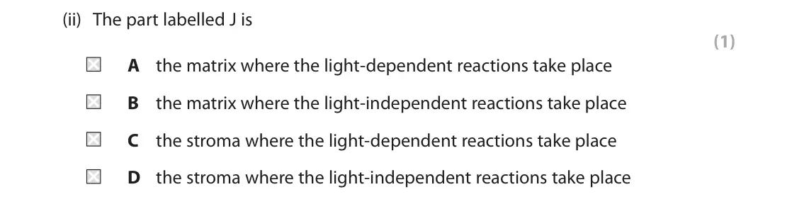 June 2024 Paper 1, question 5(a)(ii): The part labelled J is (1) A the matrix where the light‑dependent reactions take place B the matrix where the light‑independent reactions take place C the strom
