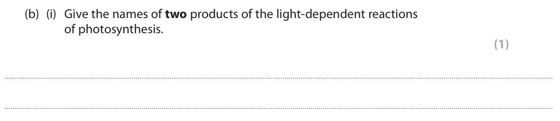 June 2024 Paper 1, question 5(b)(i): Give the names of two products of the light‑dependent reactions of photosynthesis. (1)